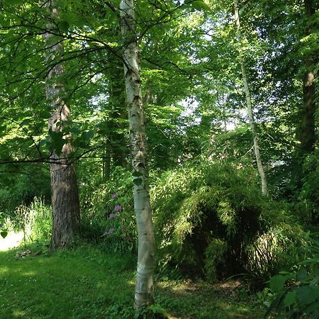 Domaine De Chantemerles فونتانبلو المظهر الخارجي الصورة