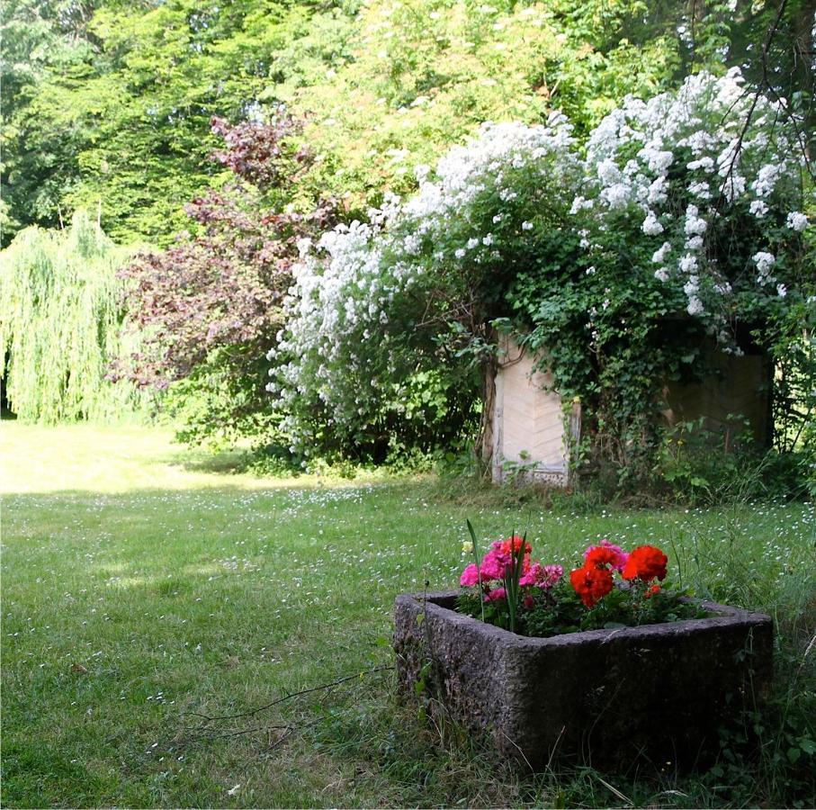 Domaine De Chantemerles فونتانبلو المظهر الخارجي الصورة
