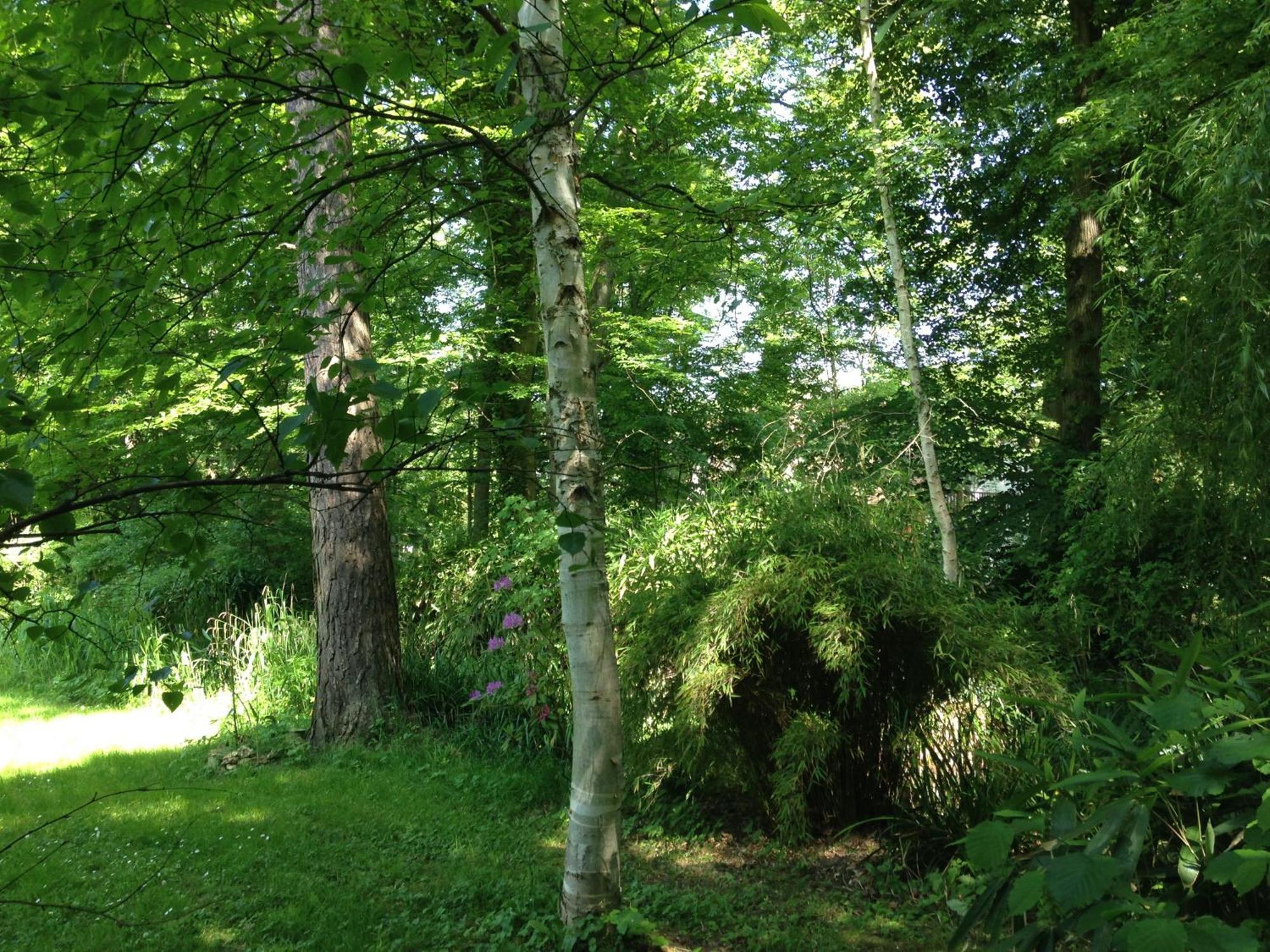 Domaine De Chantemerles فونتانبلو المظهر الخارجي الصورة