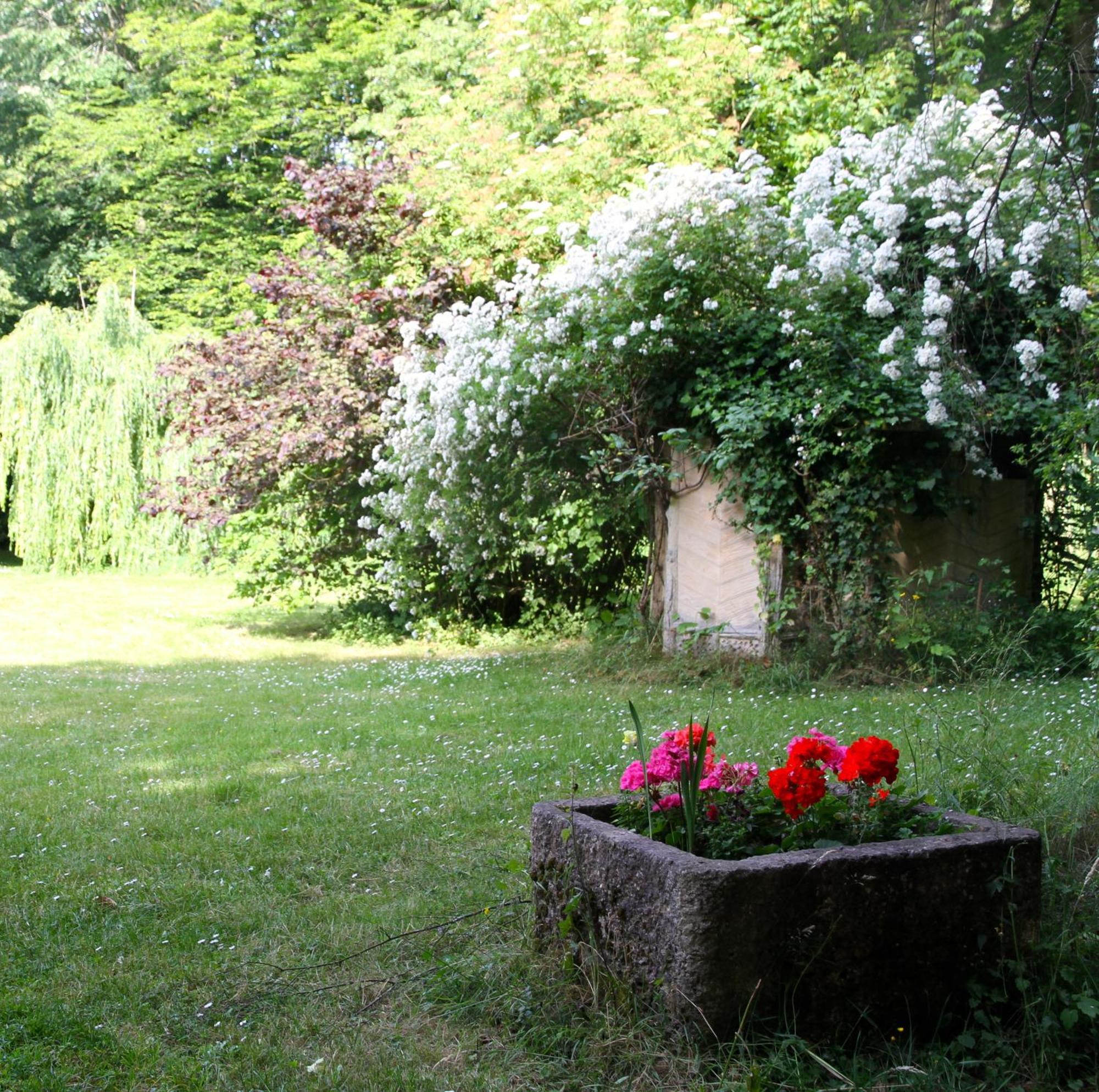 Domaine De Chantemerles فونتانبلو المظهر الخارجي الصورة