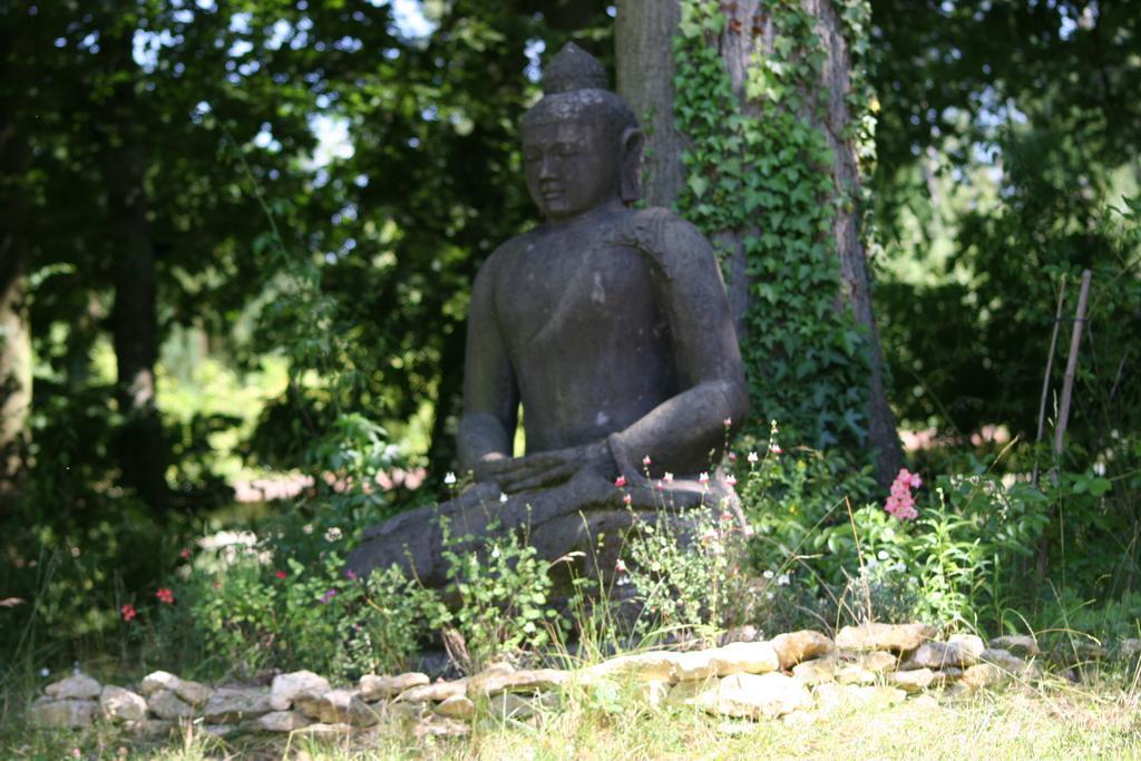 Domaine De Chantemerles فونتانبلو المظهر الخارجي الصورة