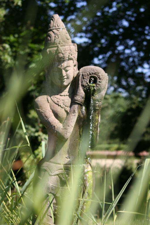 Domaine De Chantemerles فونتانبلو المظهر الخارجي الصورة