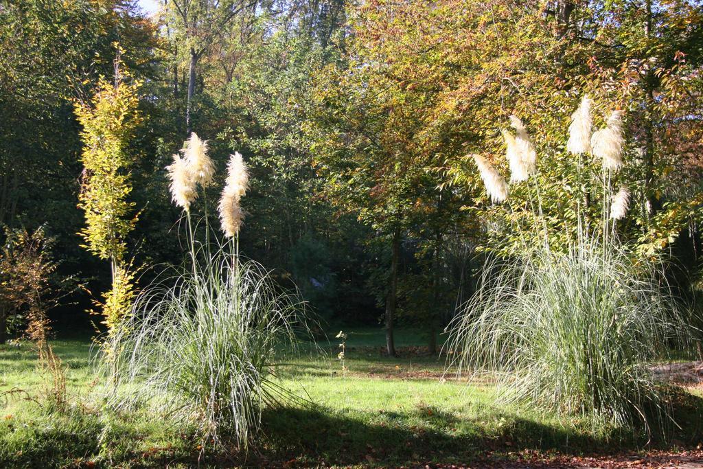 Domaine De Chantemerles فونتانبلو المظهر الخارجي الصورة