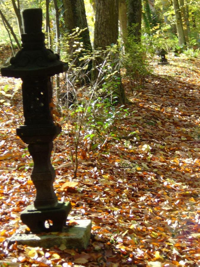 Domaine De Chantemerles فونتانبلو المظهر الخارجي الصورة